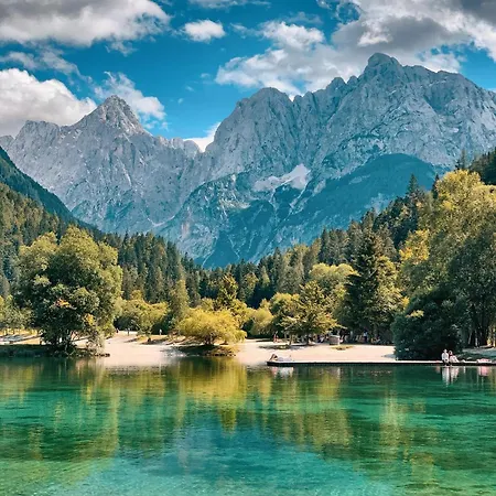 Cosy Forest * Kranjska Gora