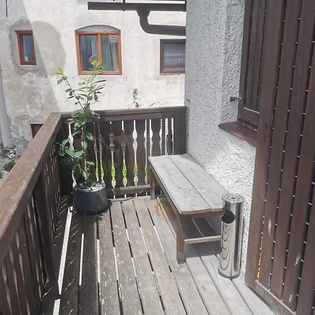Apartment Cosy Forest *